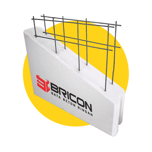 Panel-Bricon-min